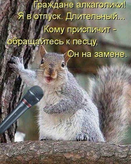 Подборка шуток Подборка шуток