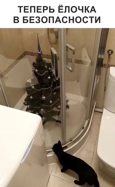 Прикольные фотомемы для всех Прикольные фотомемы для всех