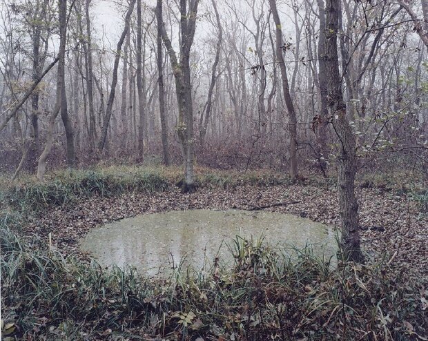 25 ран Земли, сделанных человеком 25 ран Земли, сделанных человеком