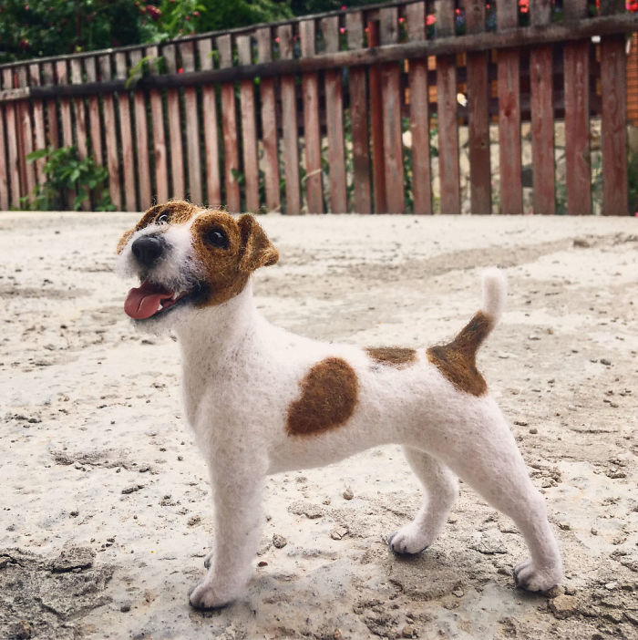 Они будто сейчас оживут и начнут вилять хвостом! Они будто сейчас оживут и начнут вилять хвостом!
