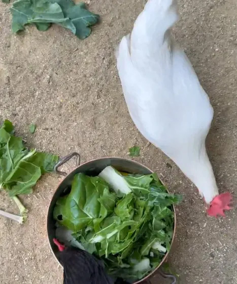 Меган Маркл показала новое видео с детьми от принца Гарри в честь католической Пасхи Меган, видео, МарклКадр, Маркл, Гарри, принца, честь, Лилибет, прямом, родился, супругов, через, людей, миллионы, наблюдали, эфире, Виндзорском, которой, замке, Вскоре