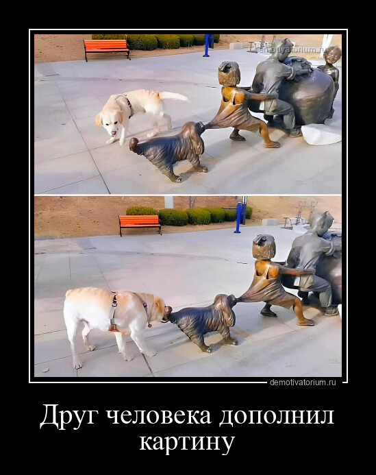 Свежие демотиваторы для всех Свежие демотиваторы для всех