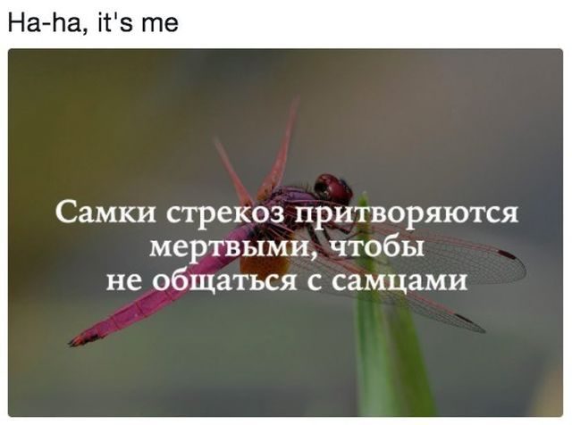 Подборка прикольных фоток!