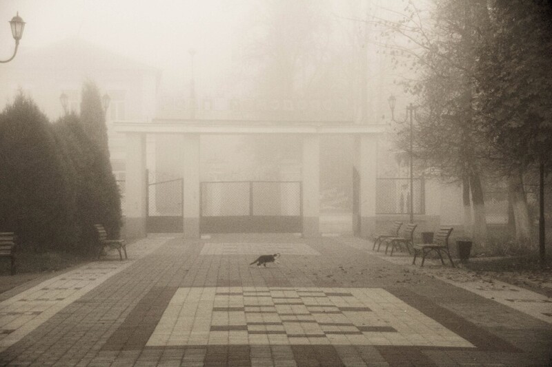 Туманное утро в Ельце Елец,Россия,туман