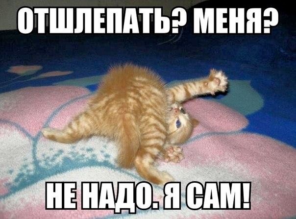 Смешная картинка отшлепай меня, про казахстан картинки