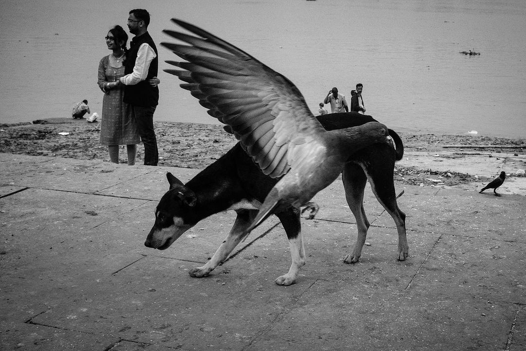 17 фотоиллюзий со слишком закрученным сюжетом – мало кто сразу поймет, что там на самом деле происходит 