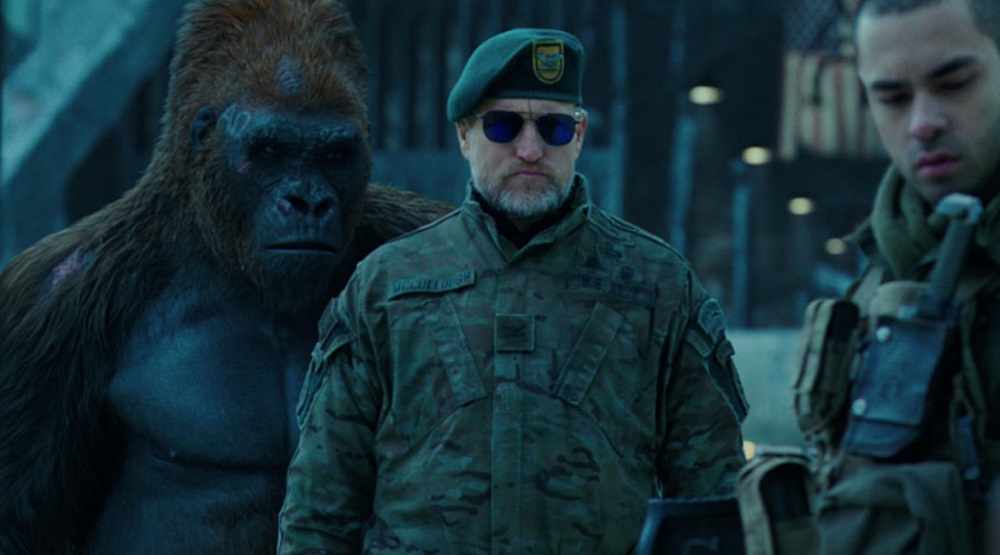 Ю.Ф.Орангутан-попадан Ю.Ф.Орангутан-попадан