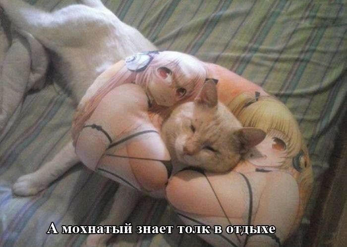 Смешные картинки с надписями прикол, юмор