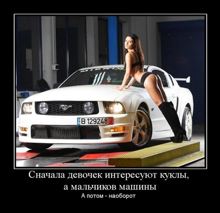 Авто-демотиваторы авто,автомобили,отдых,подборка,фото,юмор