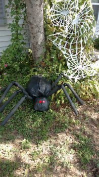 Огромный паук для Хэллоуина своими руками
