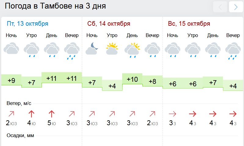 Погода в тамбовском на 3 дня