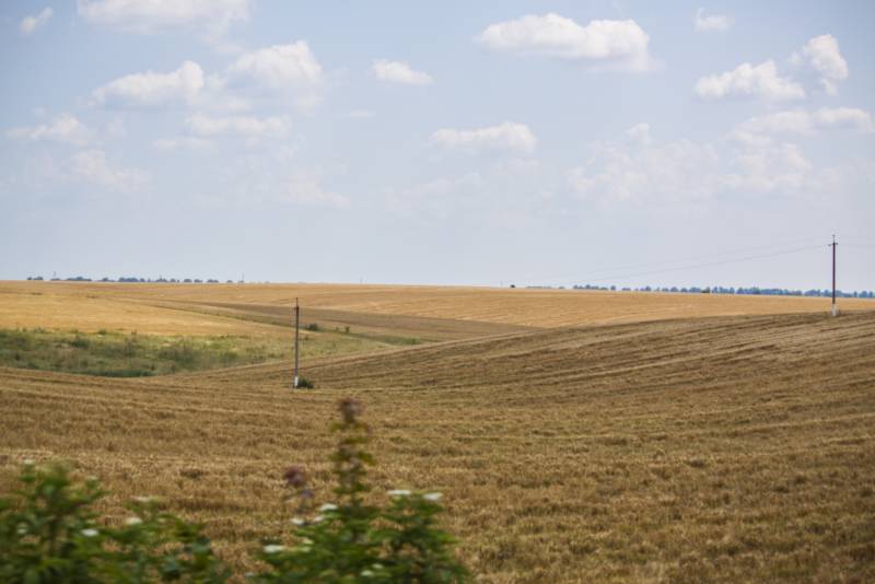 Записки Колорадского Таракана №200. Немного воняет, но перспективы есть Записки Колорадского Таракана №200. Немного воняет, но перспективы есть украина