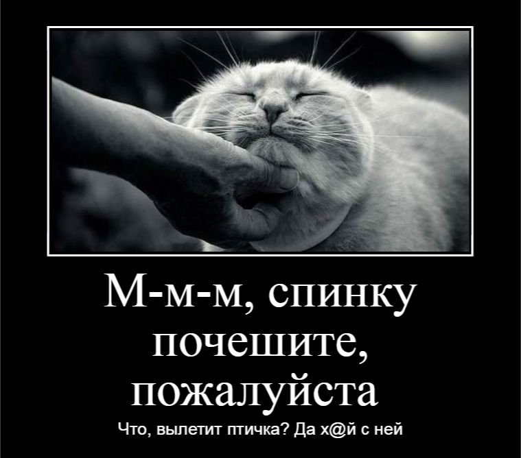 Почеши спинку картинки