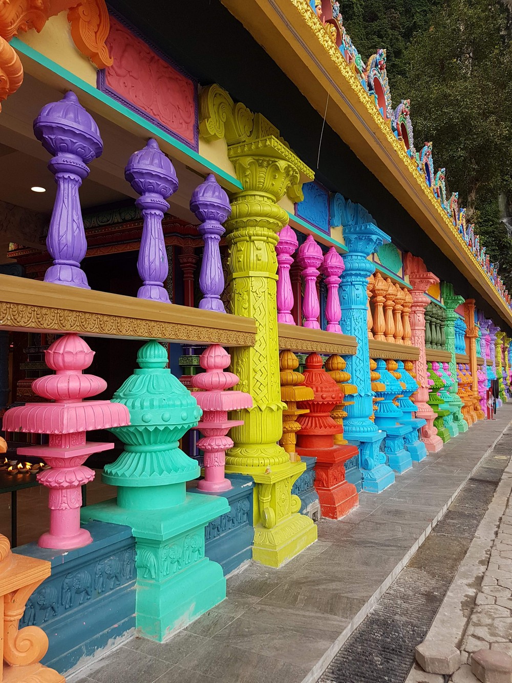 Забавные картинки для хорошего настроения Забавные картинки для хорошего настроения животные,жизнь,звери,земля,котики,коты,курьезы,мир,питомцы,планета,приколы,природа,смешное,собаки,факты,фауна,флора,щенки,юмор