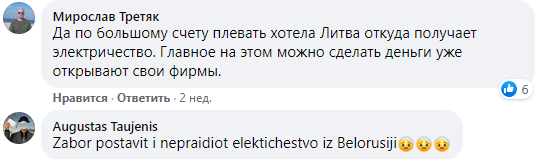 В Сети высмеяли признание Литвой невозможности бойкота электроэнергии с БелАЭС