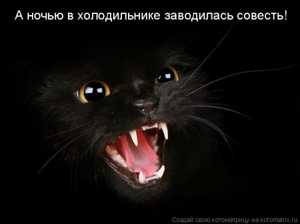 Мысли вслух :)