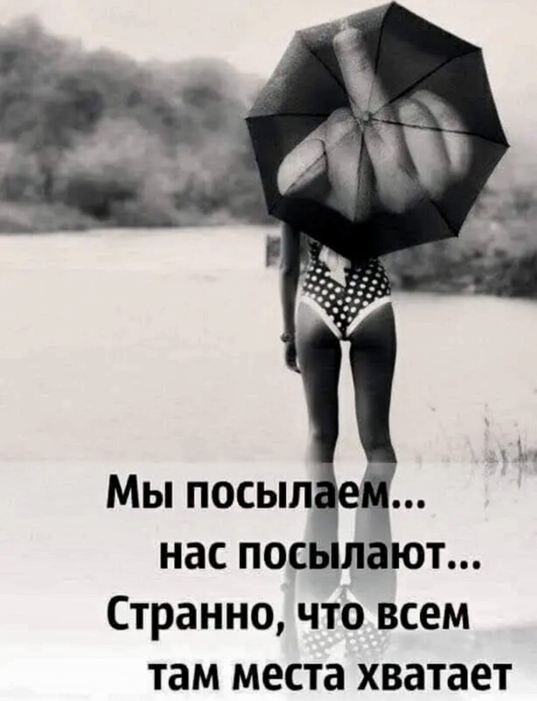 Заряжаемся позитивом с новой подборочкой веселостей! 