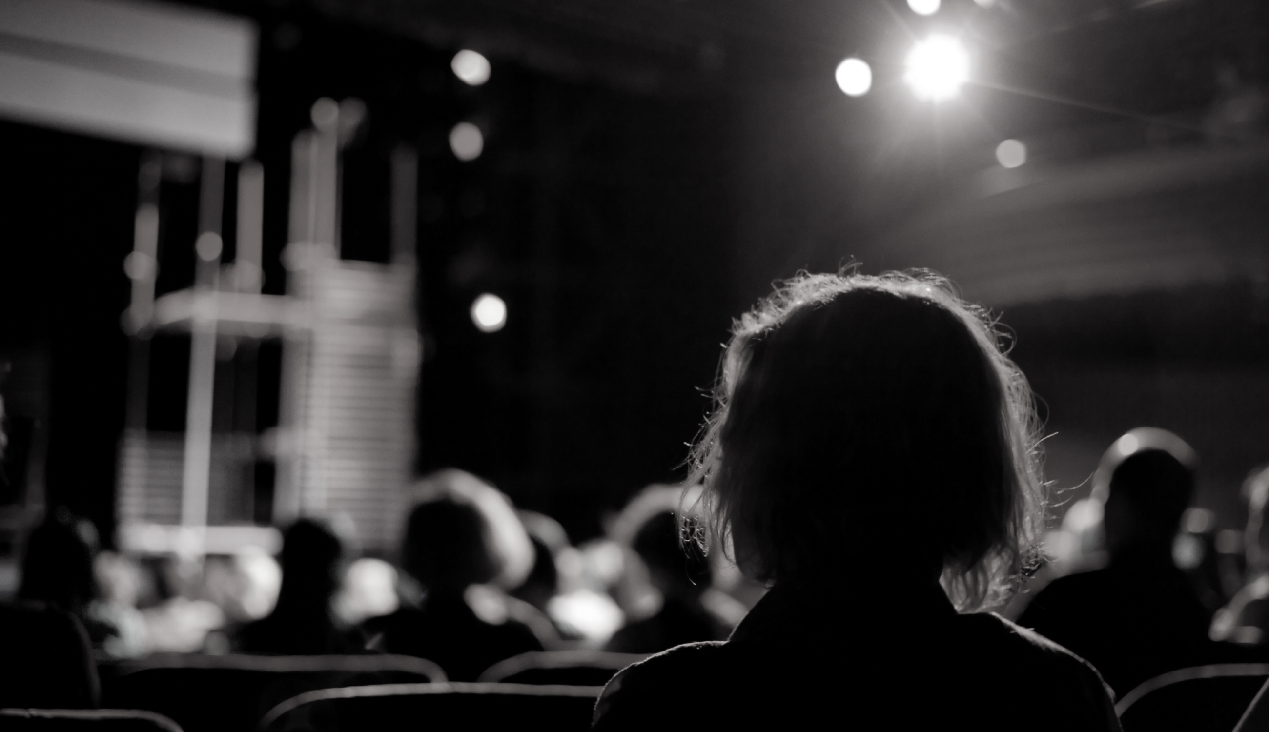 Theatre audience