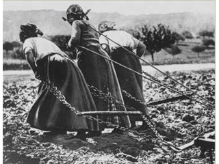 Сколько на российском невольничьем рынке стоил один крепостной