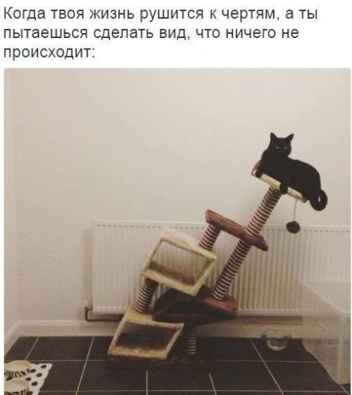 Прикольных картинок пост (38 шт)