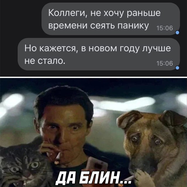 Прикольные картинки и фото 2022 