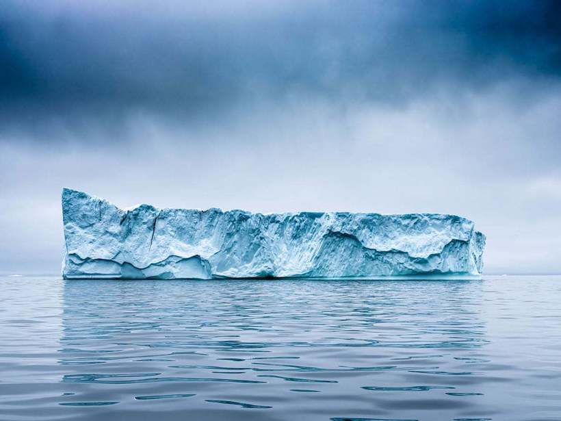 Первые впечатляющие работы с конкурса Sony World Photography Awards 2020