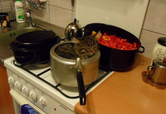 Улыбательные картинки картинки, прикол., фото