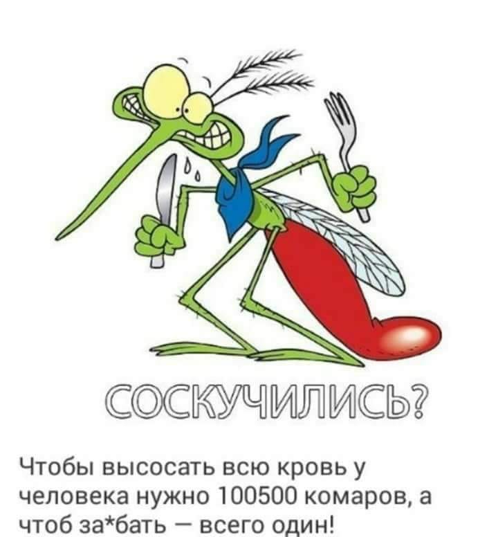 Собрались ДОБРЫ молодцы и КРАСНЫ девицы.. Собрались ДОБРЫ молодцы и КРАСНЫ девицы.. анекдоты