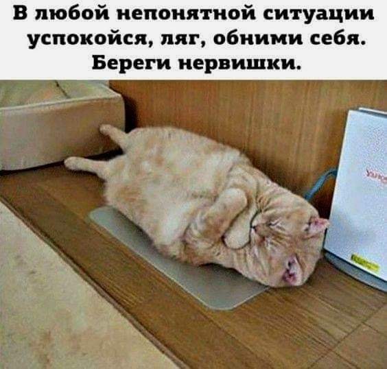 - Алло, это бабы? А сделайте еще бабье лето, пожалуйста анекдоты,веселые картинки,демотиваторы,приколы,юмор