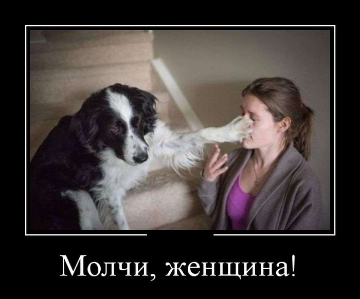 Молчи, женщина! демотиватор, юмор