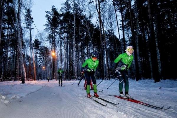 Буревестник томск тропа здоровья карта