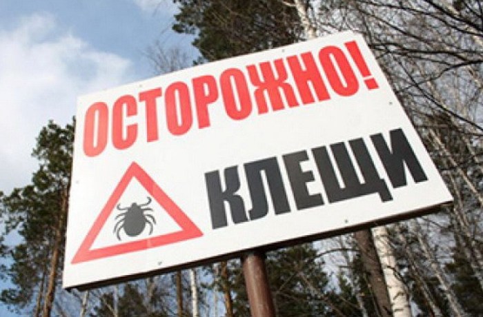 Скоро во всех лесах и парках!