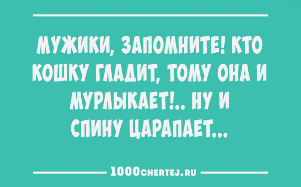 Всем смеяться в виброрежиме.))) Винегрет из шуток, статусов и приколов 