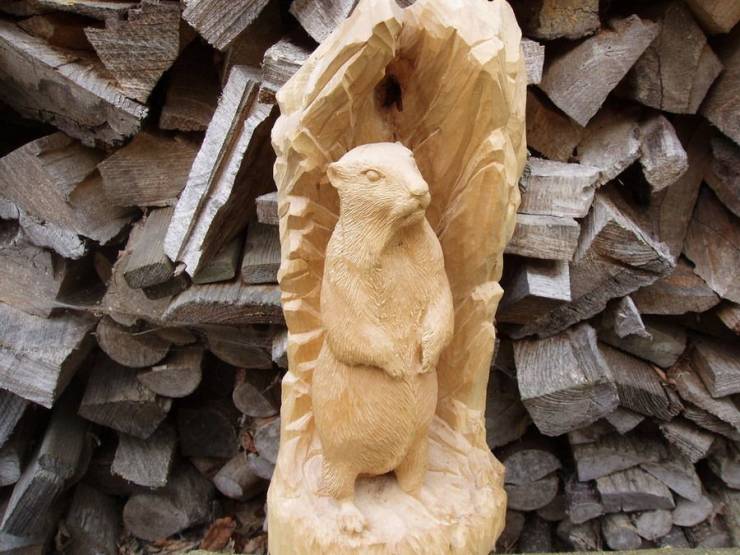 Подборка смешных картинок Подборка смешных картинок приколы,смешные картинки,юмор