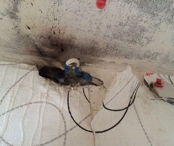 Как определить где именно в стене сгорела проводка советы