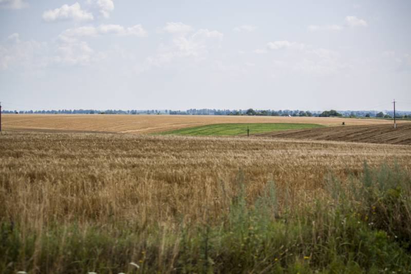 Записки Колорадского Таракана №200. Немного воняет, но перспективы есть Записки Колорадского Таракана №200. Немного воняет, но перспективы есть украина