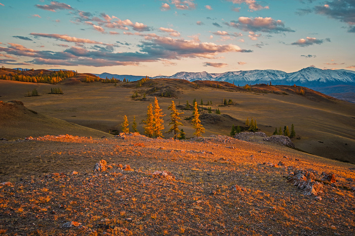 Краски горного Алтая: неожиданно и нереально Краски горного Алтая: неожиданно и нереально