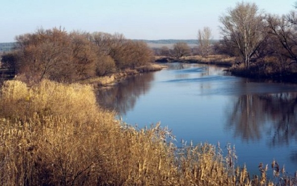 Первые фото с места ДТП в Воронежской области, где водитель погиб, вылетев на «Калине» в реку