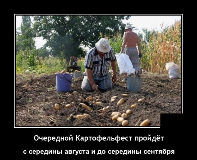 Самые новые демотиваторы 