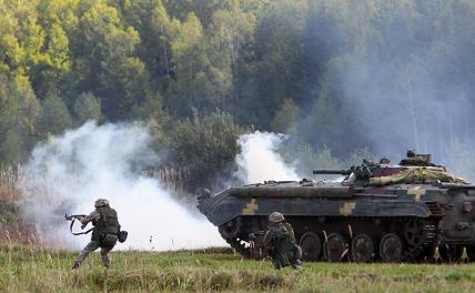 «Боевые психи» Зеленского: Бой за Синьковку обернулся для ВСУ конвейером «двухсотых» россия,украина