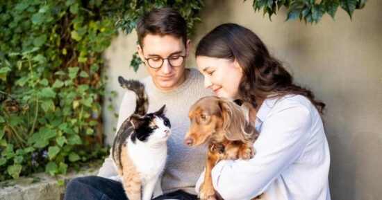 Вы заставляете их чихать: может ли у кошек и собак развиться аллергия на человека