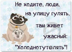 Самые лучшие шутки для отличного настроения Самые лучшие шутки для отличного настроения