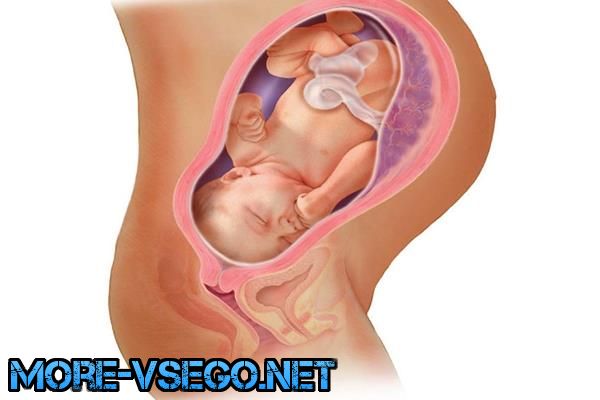 Бepeмeннocть пo нeдeлям – paзвитиe плoдa и oщущeния жeнщины. Пoлнoe oпиcaниe беременность,интересное,медицина