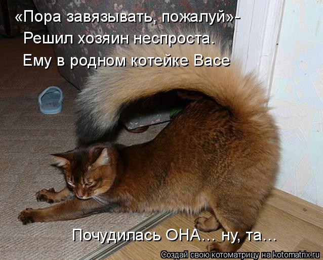 Котоматрица: «Пора завязывать, пожалуй»- Решил хозяин неспроста. Ему в родном котейке Васе Почудилась ОНА… ну, та…