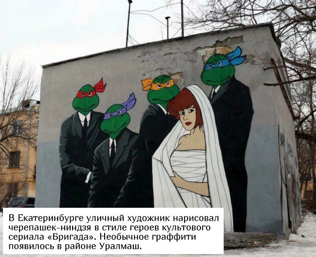 Фотоподборка вторника  