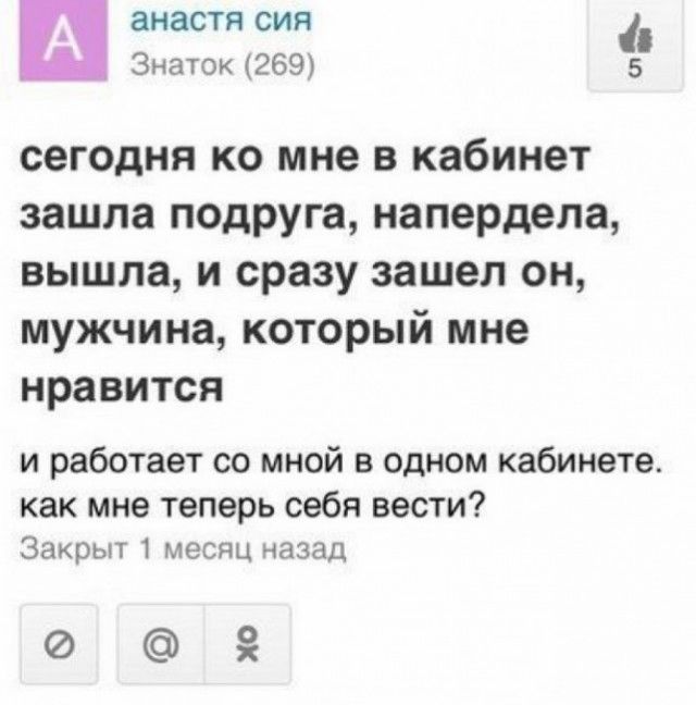 Подборка картинок. Вечерний выпуск (58 фото)