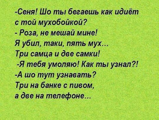 Подборка юмора в картинках, чтоб посмеяться от души Подборка юмора в картинках, чтоб посмеяться от души