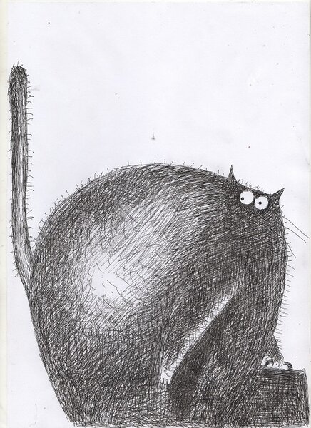 Мой кот - редкая сволочь Мой кот - редкая сволочь истории из жизни,позитив,смешные животные