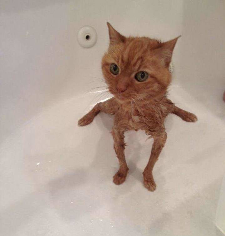 Подборка прикольных картинок Подборка прикольных картинок приколы,смешные картинки,юмор