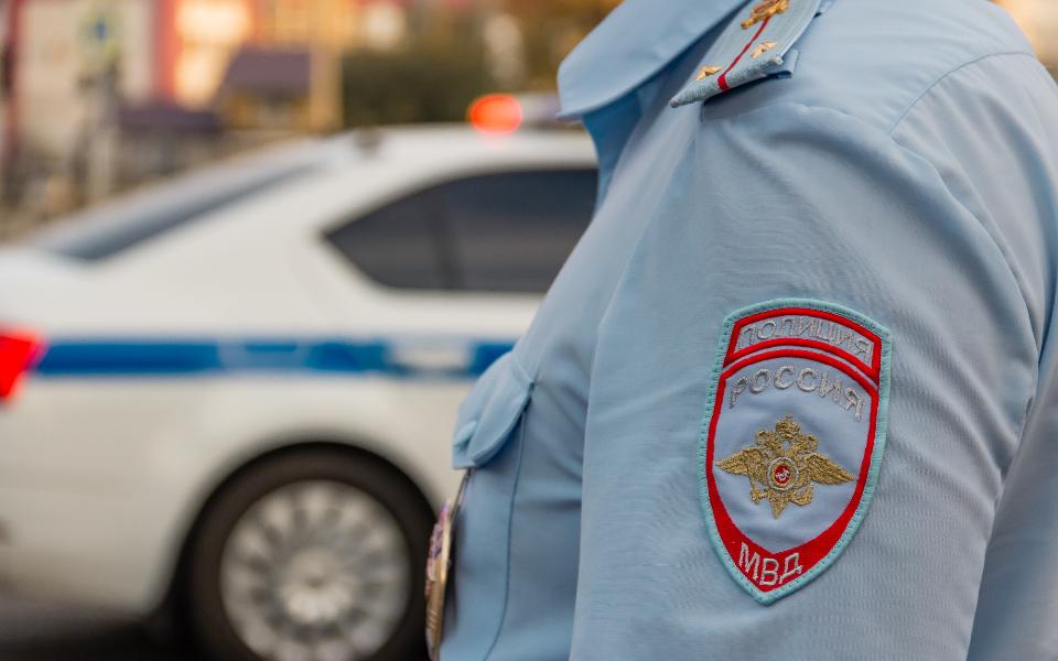 Рязанская полиция раскрыла кражу телефона на улице Гагарина